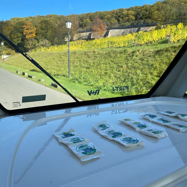 Autonom 04